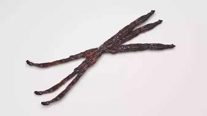Vanilla Sticks 3D model