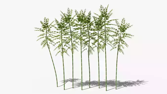 Bamboo Set Low-poly 3D model