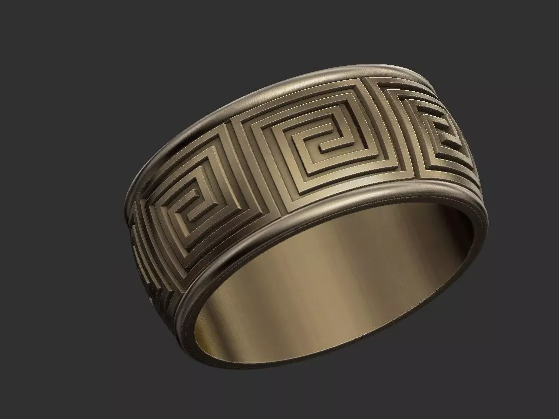 Spiral Labyrinth Ring 3D print model_0