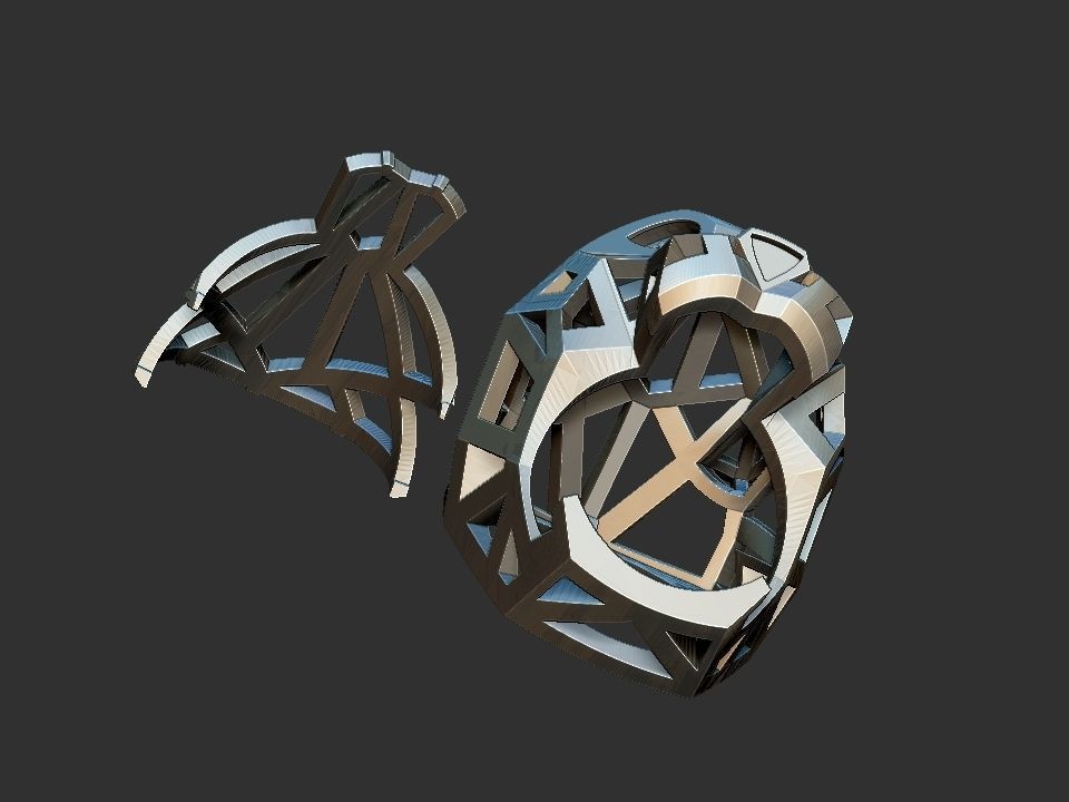 Panther Rings Cat Catier 3D print model_4