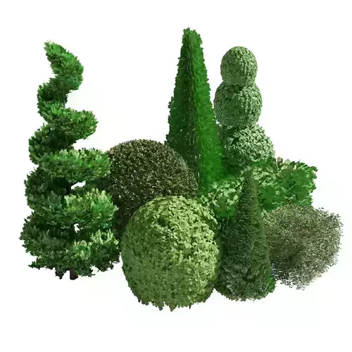 Suffruticosa Boxwood Collection for 3d Landscape Low-poly 3D model