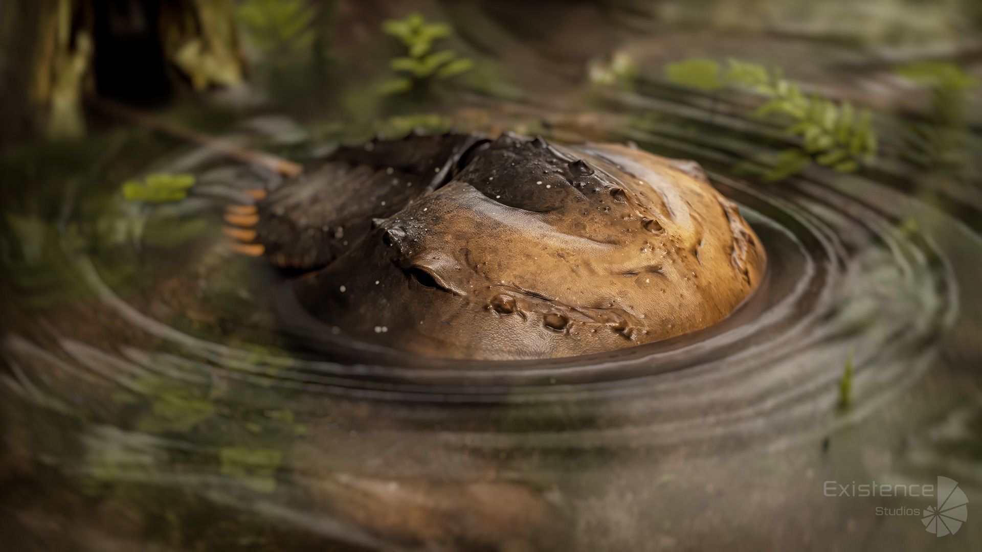 Horseshoe Crab - Trilobite - Monster Underwater Creature - 24 Low-poly 3D model_6