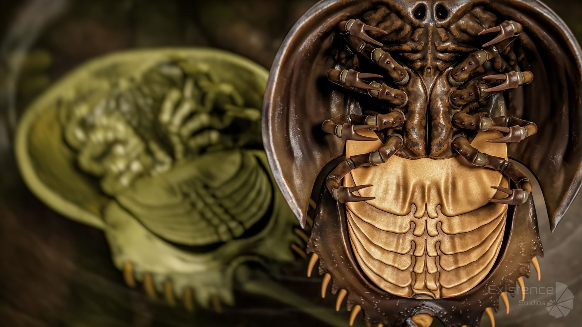 Horseshoe Crab - Trilobite - Monster Underwater Creature - 24 Low-poly 3D model_5