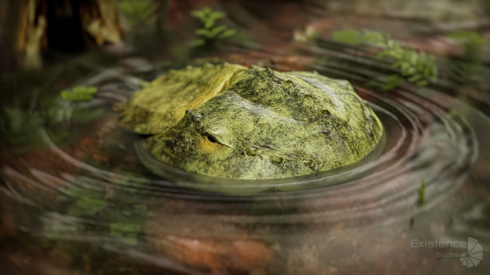 Horseshoe Crab - Trilobite - Monster Underwater Creature - 24 Low-poly 3D model_8