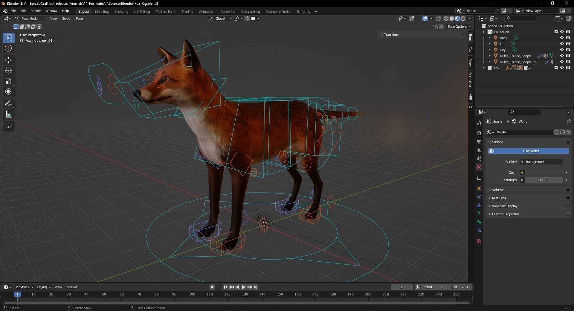 Fox Majestic Wilderness Wolf Nubis 3D Low poly Animal Model Low-poly 3D model_5