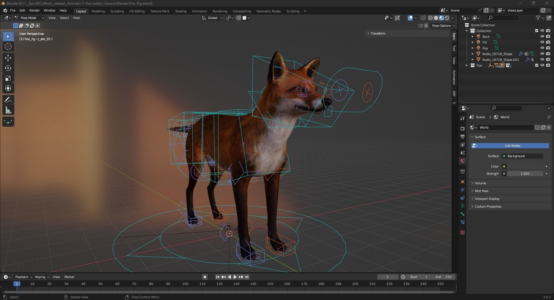 Fox Majestic Wilderness Wolf Nubis 3D Low poly Animal Model Low-poly 3D model_4