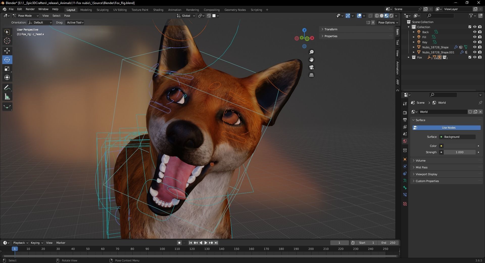 Fox Majestic Wilderness Wolf Nubis 3D Low poly Animal Model Low-poly 3D model_3