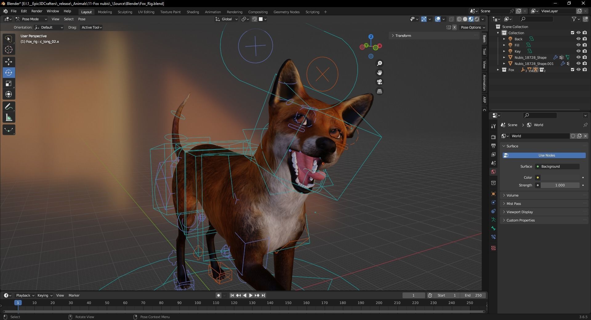 Fox Majestic Wilderness Wolf Nubis 3D Low poly Animal Model Low-poly 3D model_8