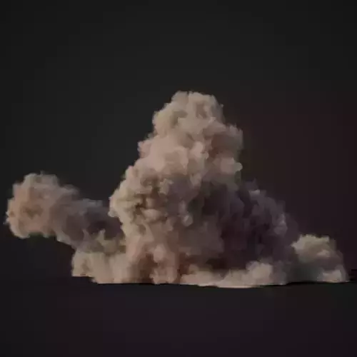 VDB Animated Dust Explosion 9 3D model