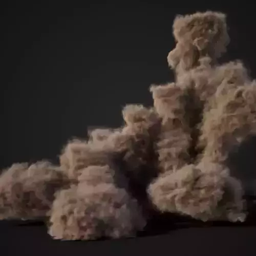 VDB Animated Dust Explosion 8 3D model