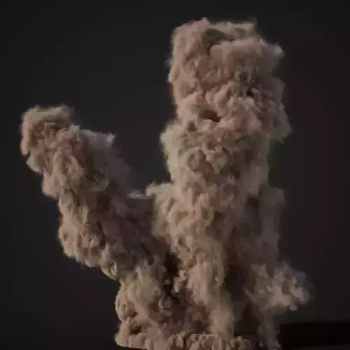 VDB Animated Dust Explosion 4 3D model