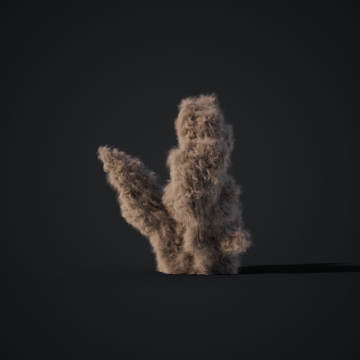 VDB Animated Dust Explosion 4 3D model_3