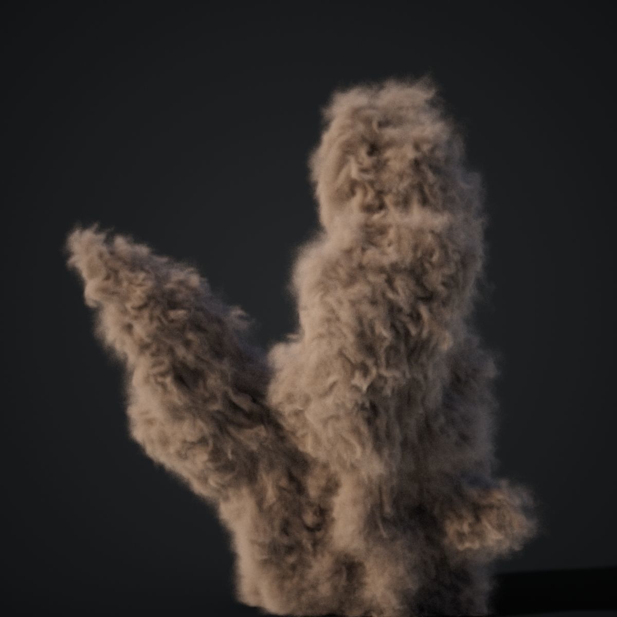 VDB Animated Dust Explosion 4 3D model_11