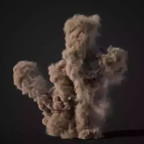 VDB Animated Dust Explosion 2 3D model