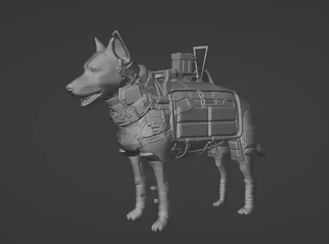 Military Dog