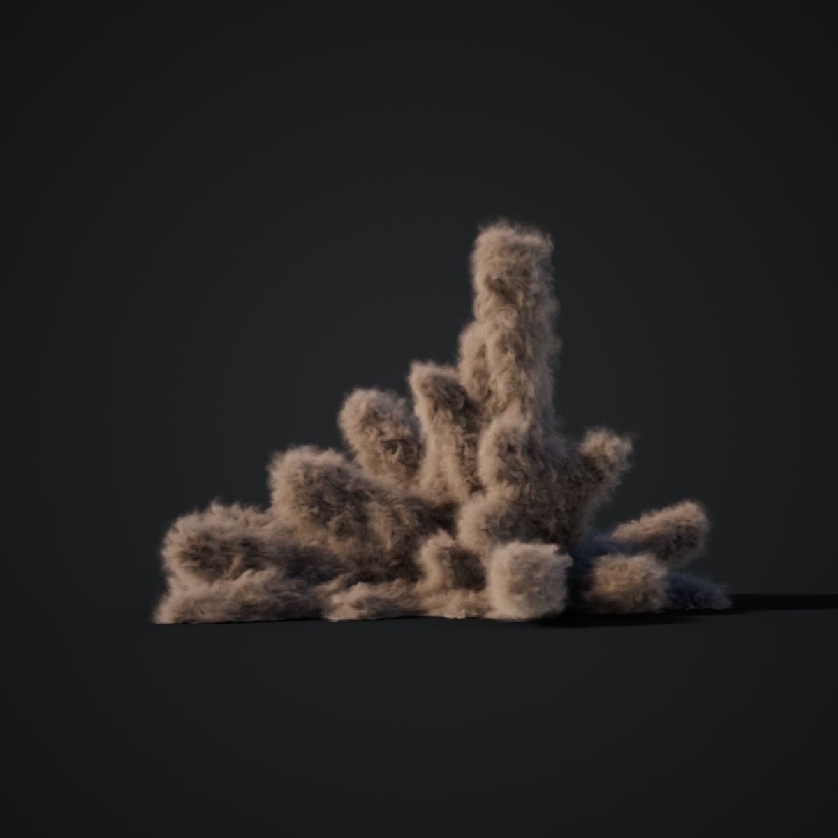 VDB Animated Dust Explosion 12 3D model_3
