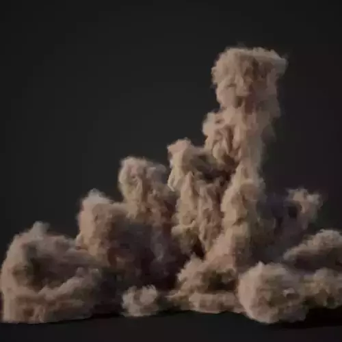 VDB Animated Dust Explosion 12 3D model