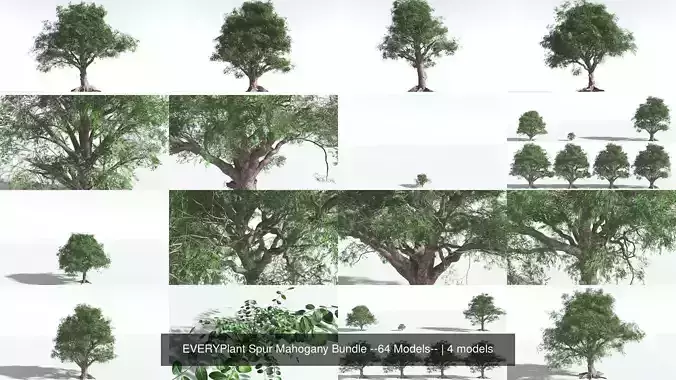 EVERYPlant Spur Mahogany Bundle --64 Models-- 3D Model Collection