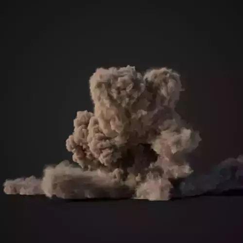 VDB Animated Dust Explosion 10 3D model