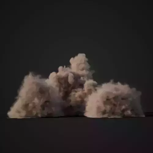 VDB Animated Dust Explosion 1 3D model