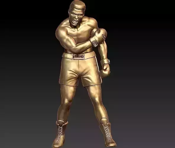 muhammad ali Model