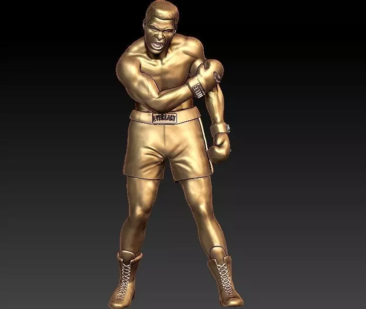 muhammad ali Model 3D print model_0