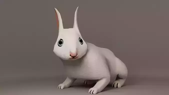 Rabbit