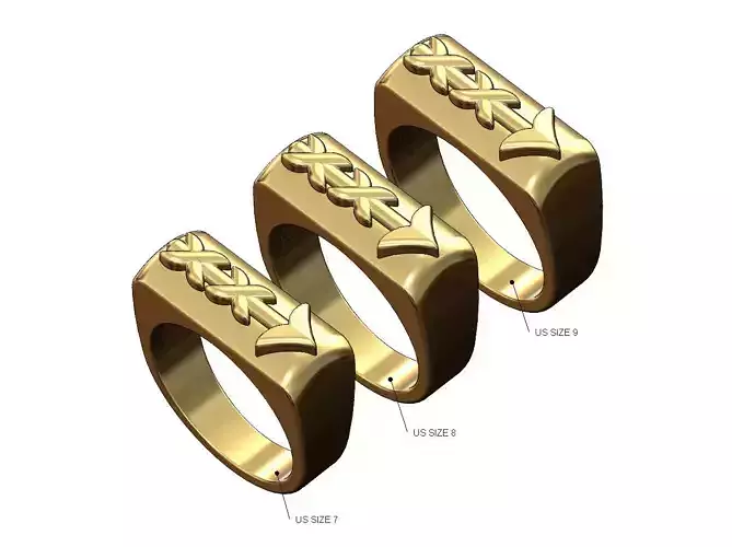 Rounded top arrow rectangular signet ring 3D print model