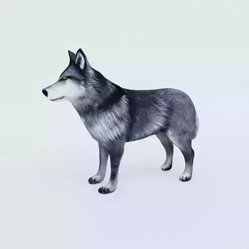 Wolf Animal Free 3D model