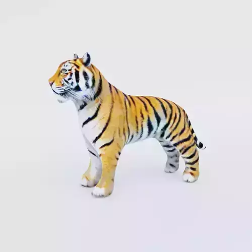 Tiger Free 3D model
