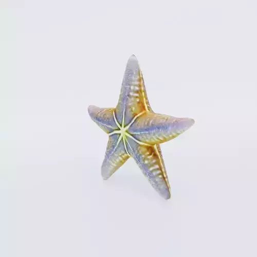 Starfish Free 3D model