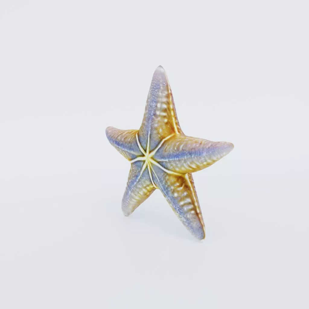 Starfish Free 3D model