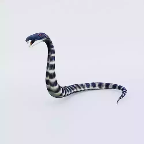 Snake Free 3D model