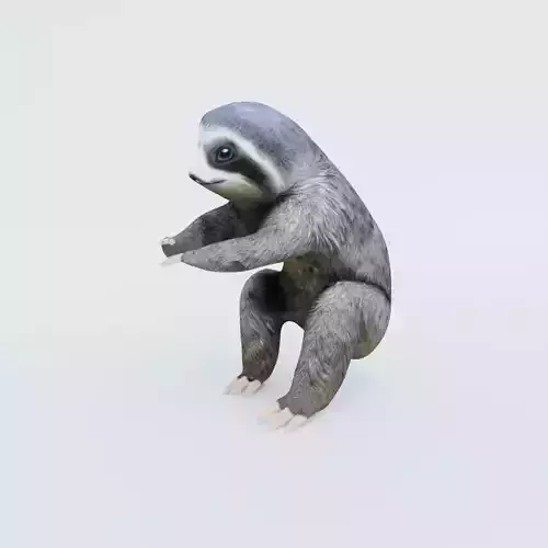 Sloth Free 3D model