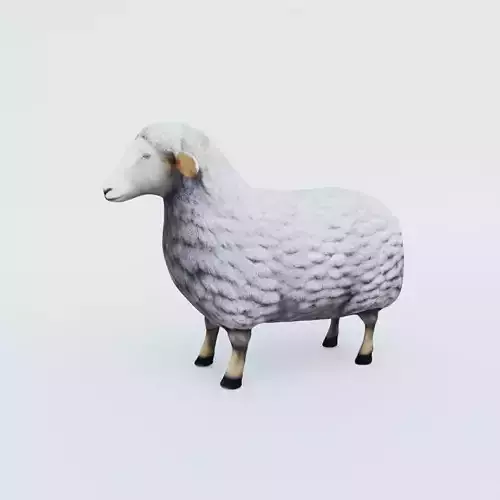 Sheep Free 3D model
