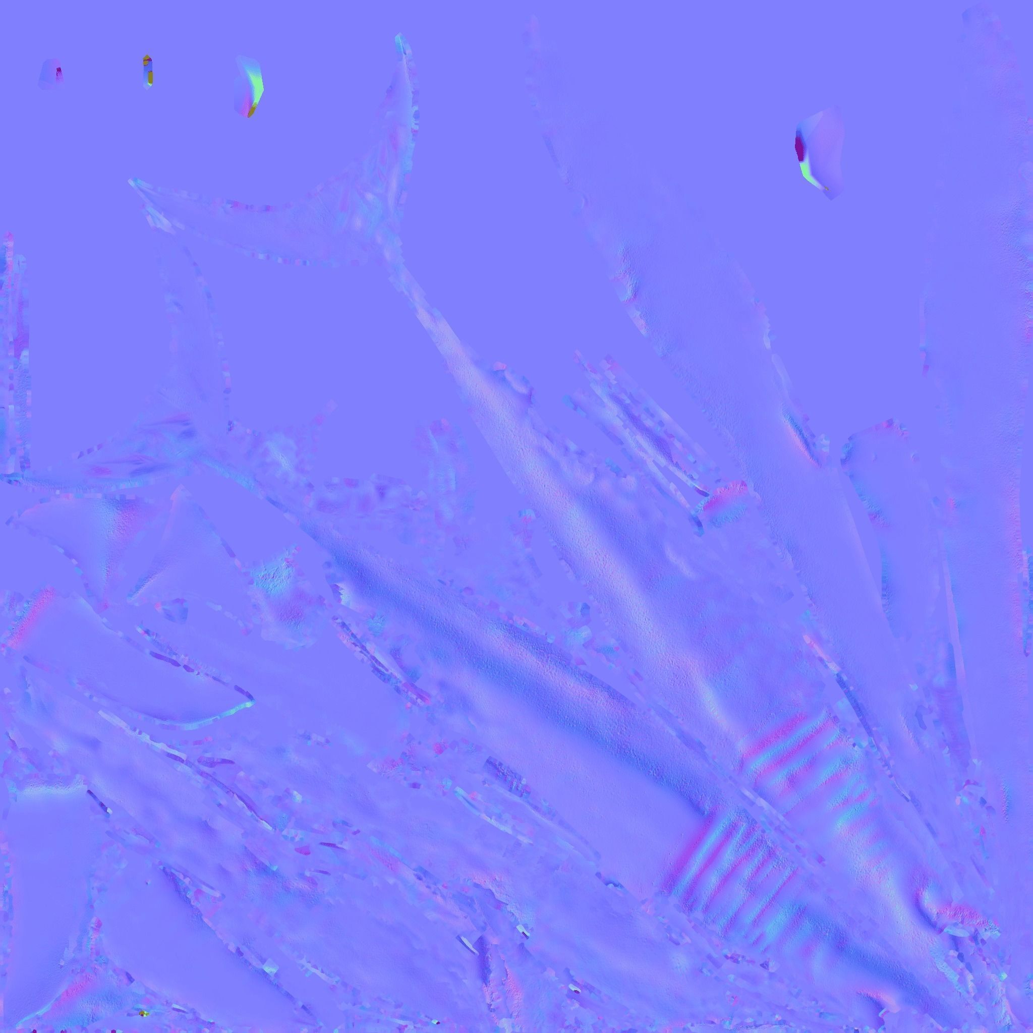 Shark Free 3D model_9