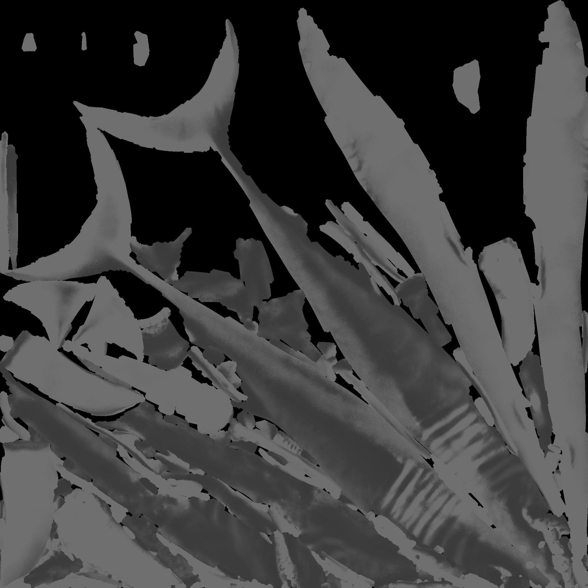 Shark Free 3D model_10