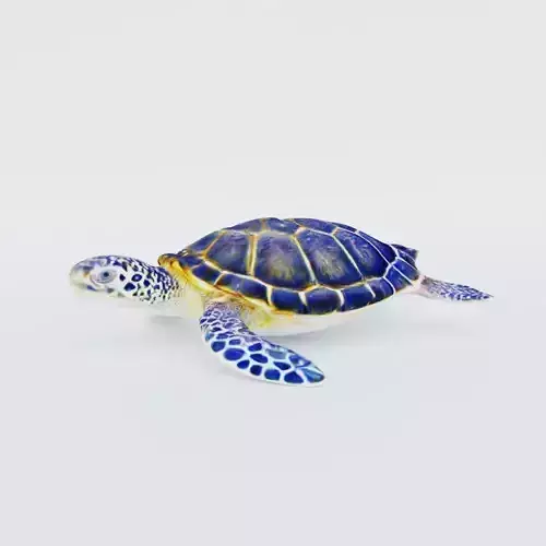 Sea Turtle Free 3D model