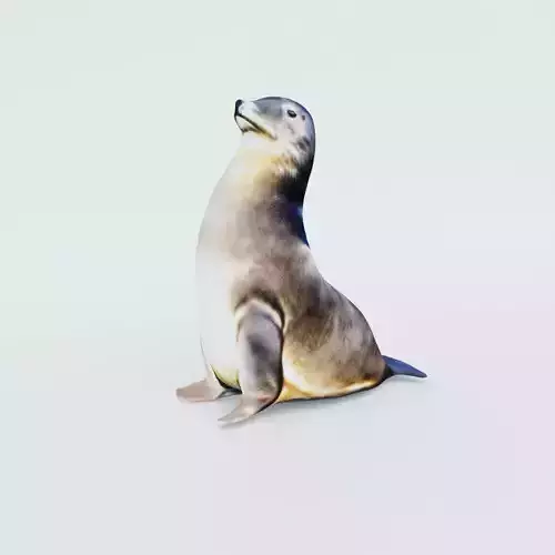 Sea Lion