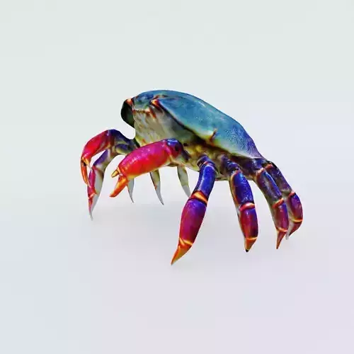 Sea Crab