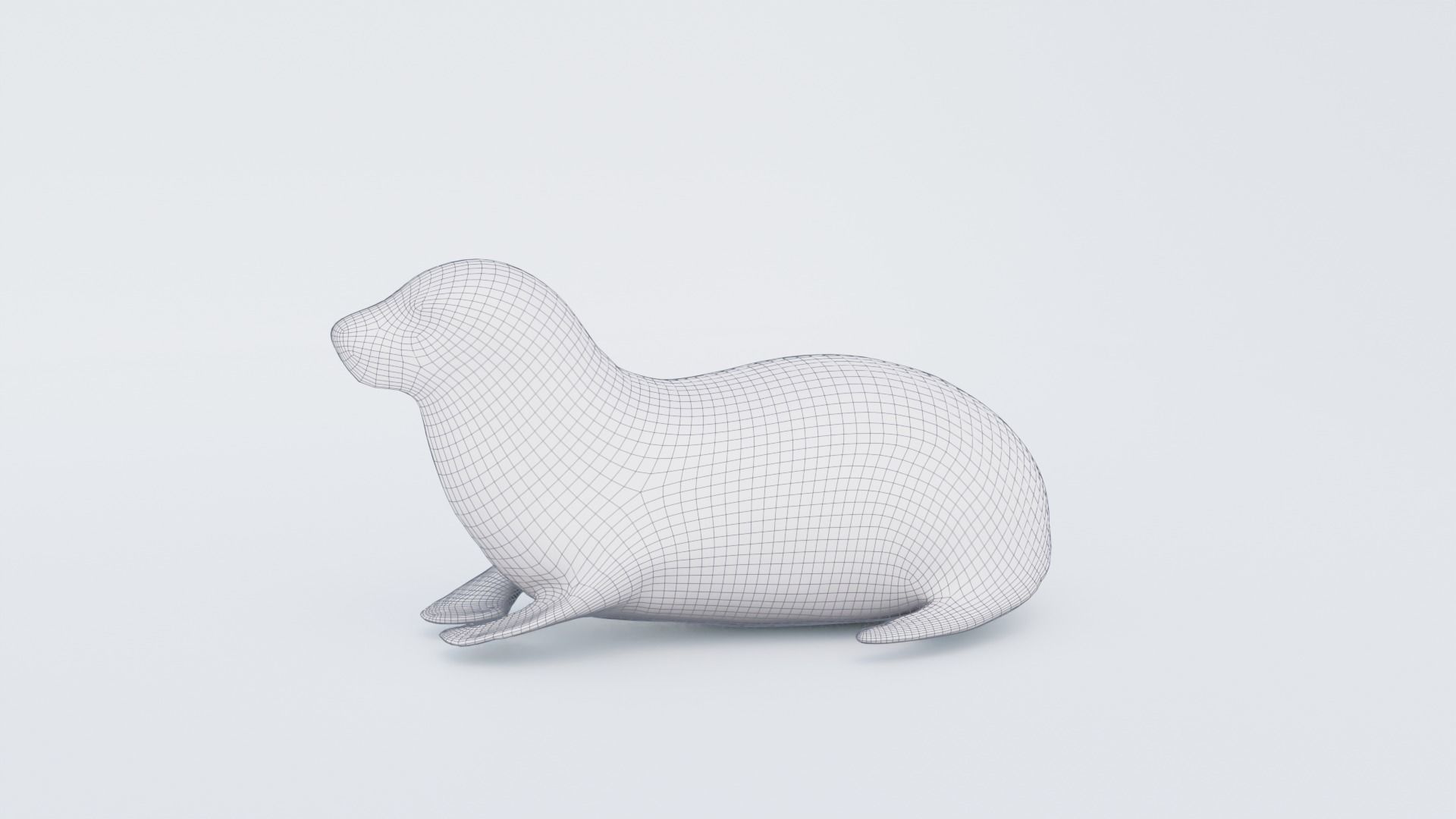 Seal Animal Free 3D model_7