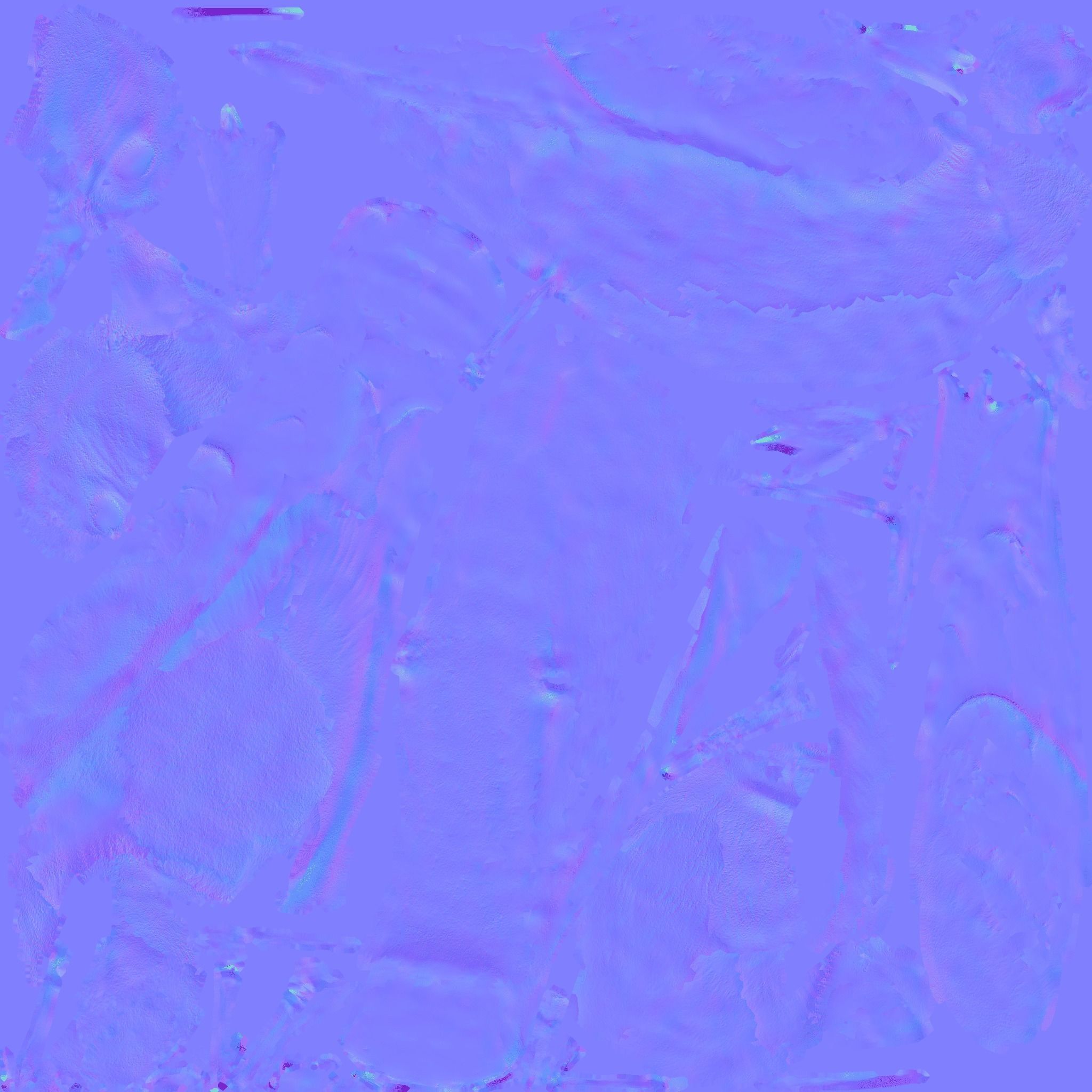 Seagull Free 3D model_9