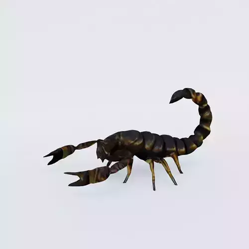 Scorpion Free 3D model