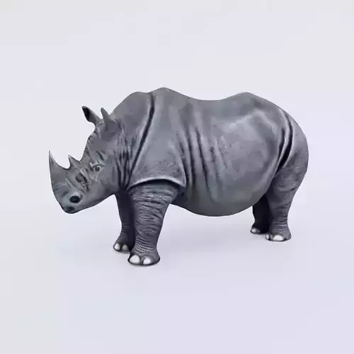 Rhino Free 3D model