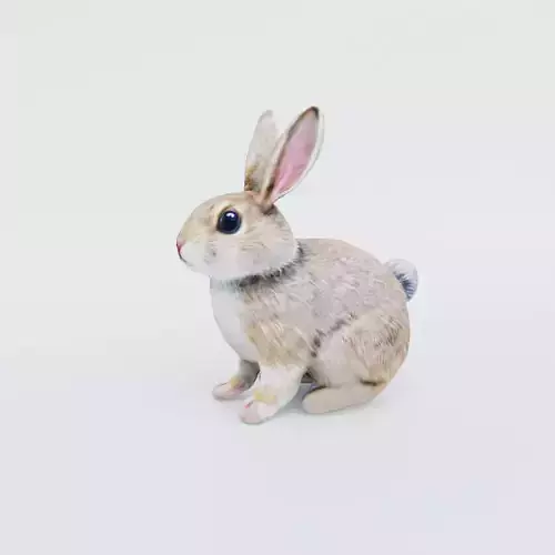 Rabbit Free 3D model