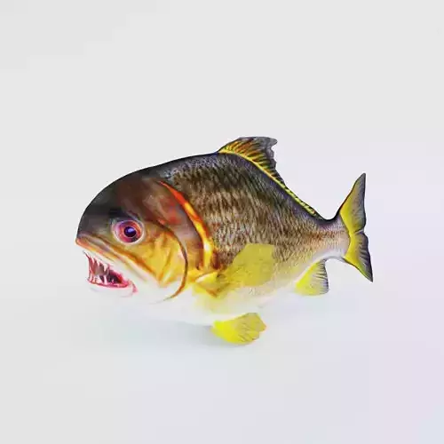 Piranha