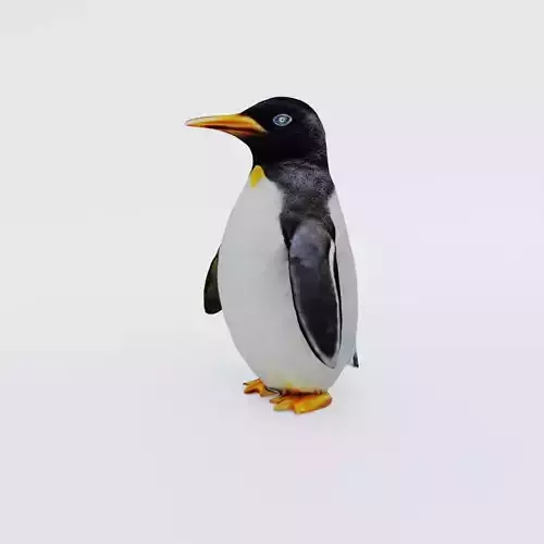 Penguin Free 3D model