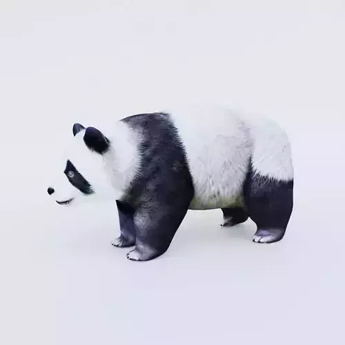 Panda Free 3D model