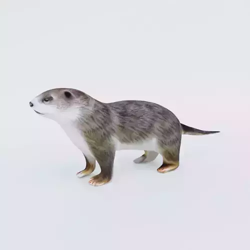 Otter Free 3D model