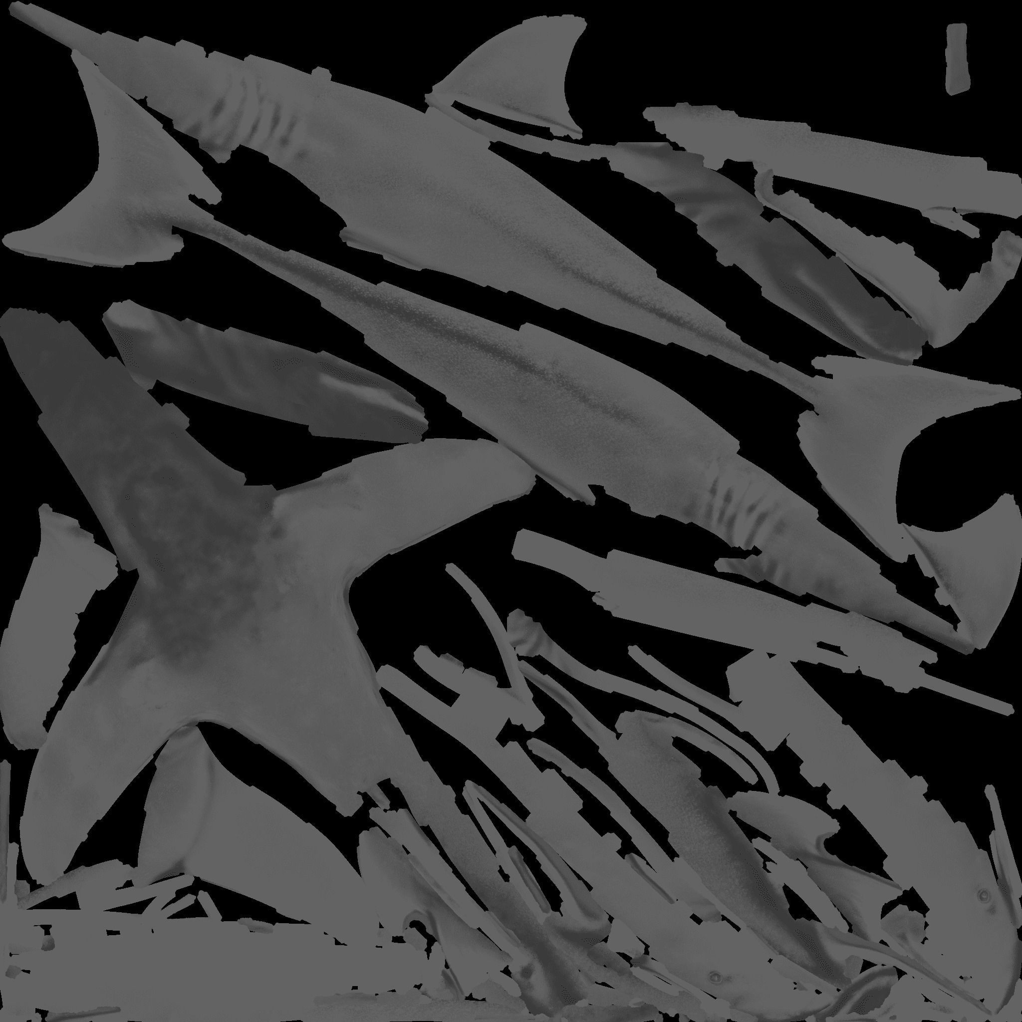 Nurse Shark Free 3D model_10